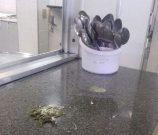 As fezes das aves são constantemente encontradas próximo às panelas (Divulgação/Sindserv)